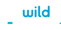 Wild Tornado casino